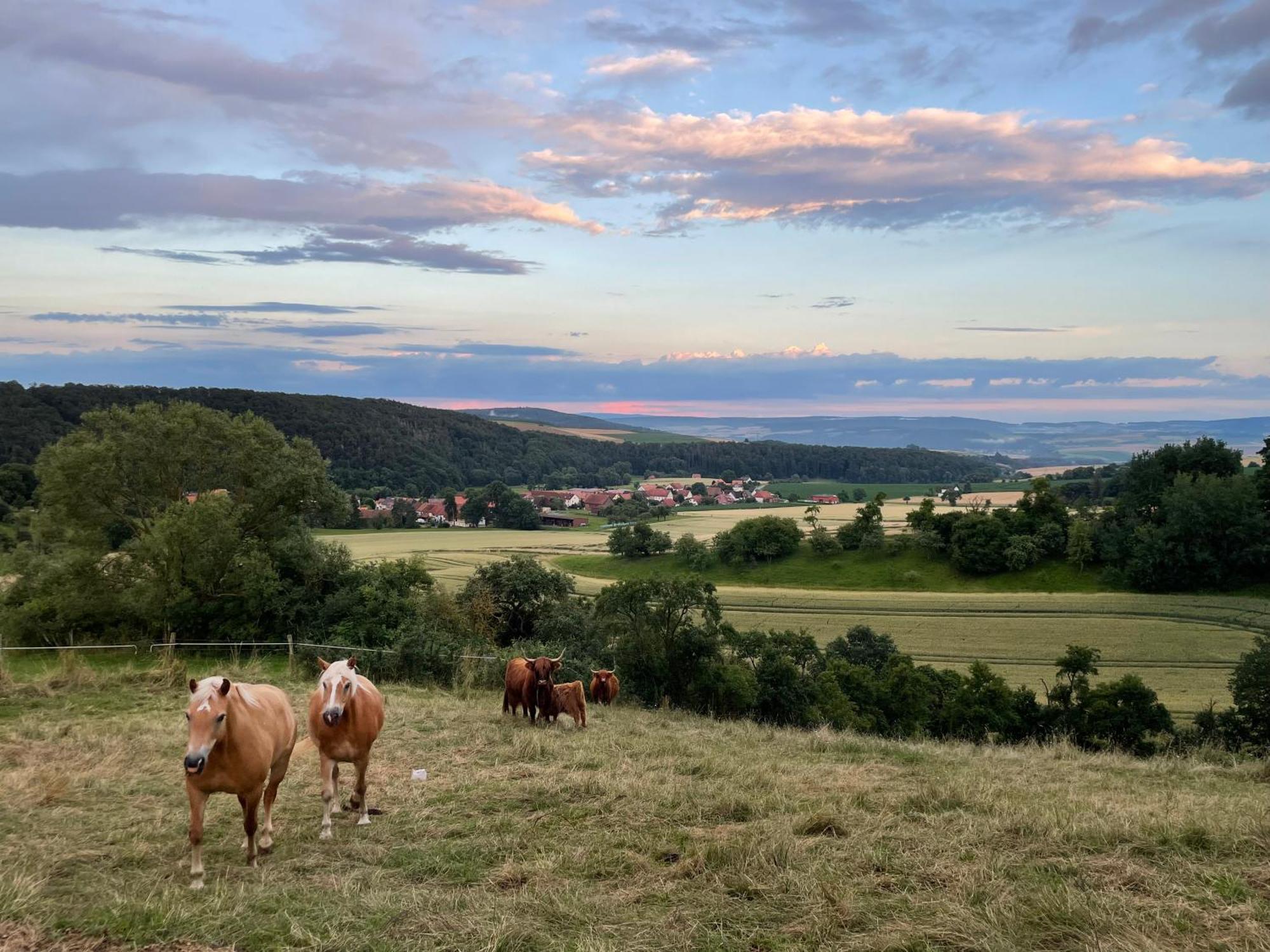 Haus Landlust Διαμέρισμα Edersee Εξωτερικό φωτογραφία